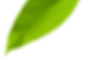 overlay-leaf